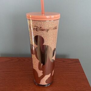 Walt disney world Starbucks mickey mouse tumbler